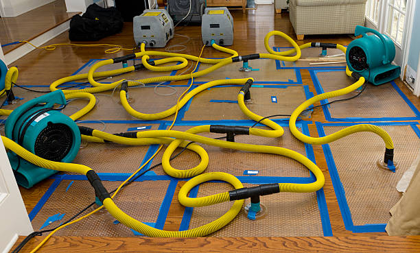 Professional Flood Damage Restoration technician working in Queen Creek, AZ